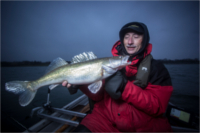 LURE 4 – Bewl trout